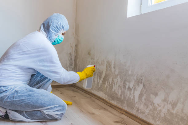 Mold inspector in Centerport performing thermal imaging
